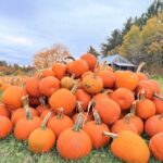 Ben's Pumpkins Pile